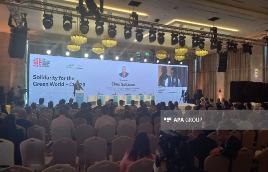 Elnur Soltanov: COP29-un nəticələri yekun sənəddə əks olunacaq