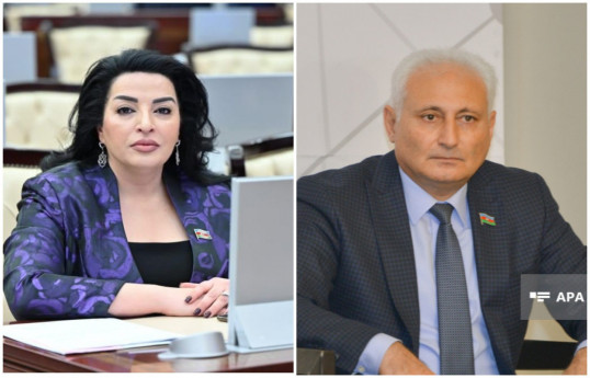 Avropa Sülh Fondunun xətti ilə Ermənistanın silahlandırılması sülh prosesinə zərbə vurur - RƏY 