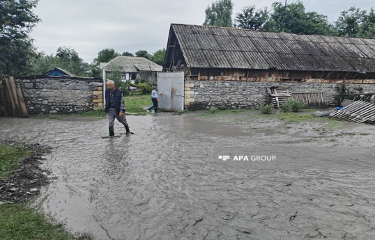 Qəbələdə aramsız yağan yağışlar bir sıra fəsadlara səbəb olub  - FOTO 