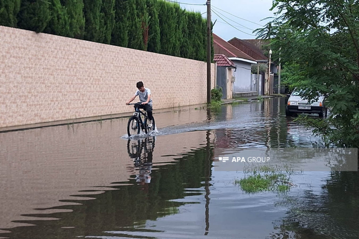 Lənkəranda intensiv yağışdan sonra Lənkərançay daşıb, həyətlərə su dolub - FOTO  - VİDEO 