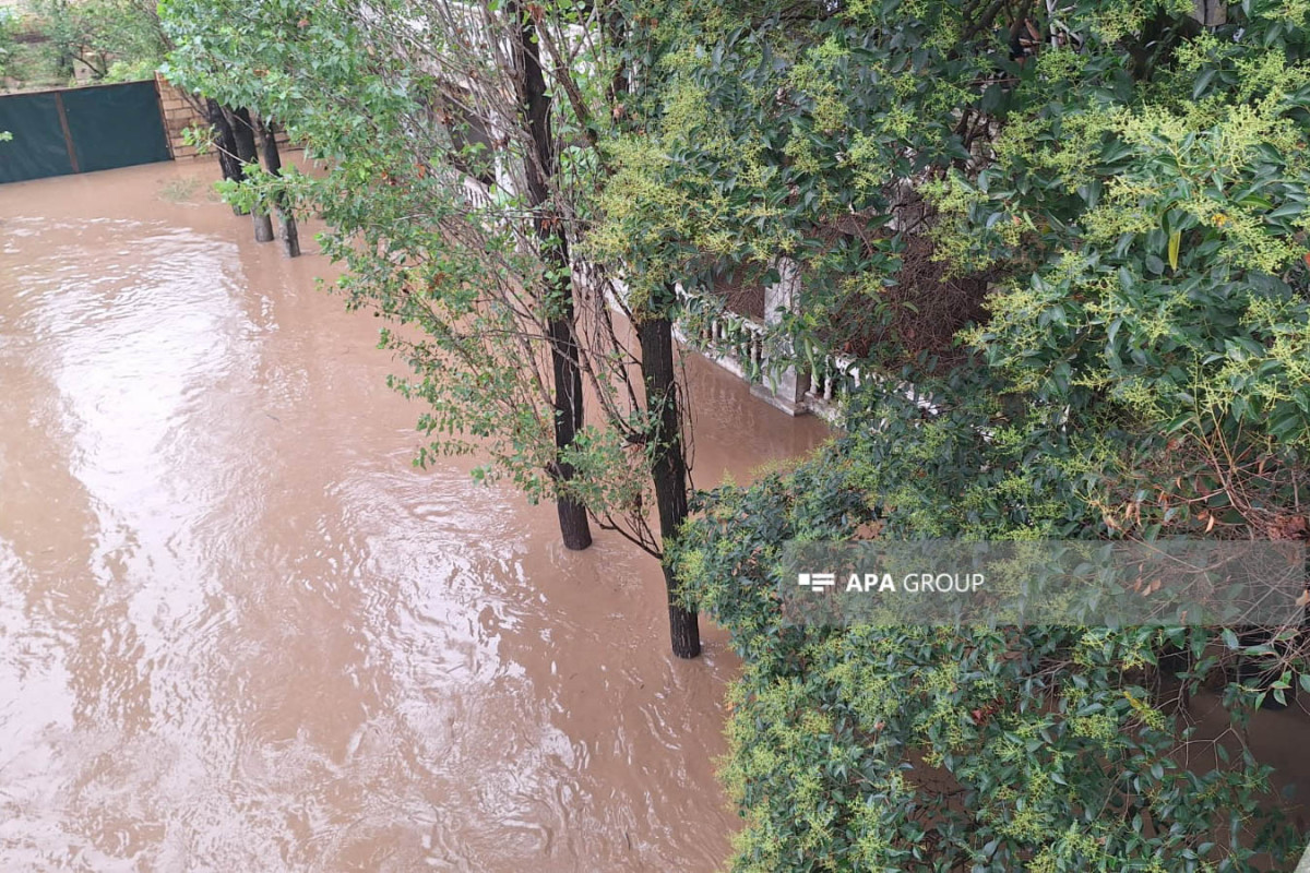 Lənkəranda intensiv yağışdan sonra Lənkərançay daşıb, həyətlərə su dolub - FOTO  - VİDEO 