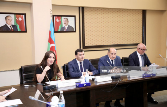 Azərbaycanda sənədsiz evlərlə bağlı normativ hüquqi akt qəbul ediləcək