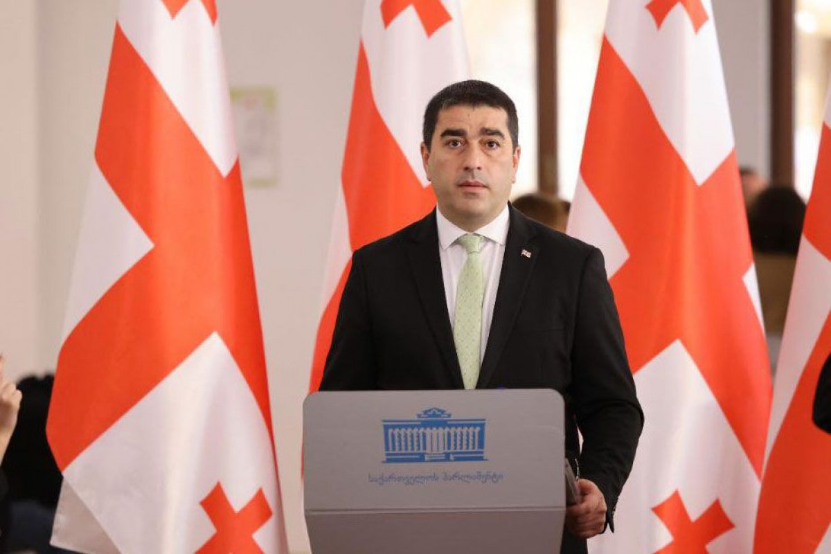 Gürcüstan parlamentinin sədri Şalva Papuaşvili