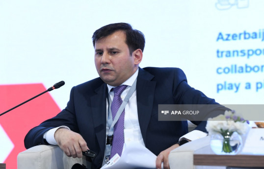 RİNN: Şərqi Zəngəzurla bağlı üzərimizə düşən işlərin həllinə nail olmuşuq