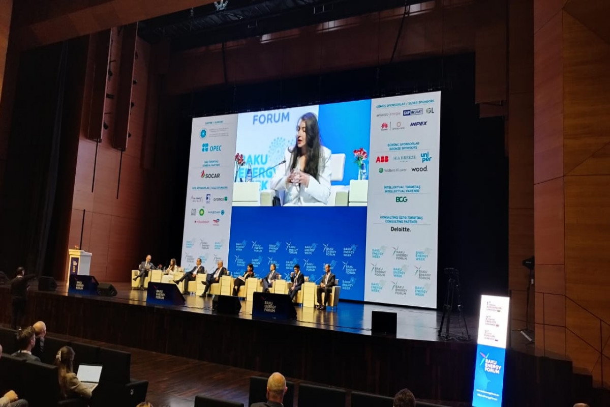SOCAR: Təbii qaz keçid yanacağı kimi qəbul edilməlidir