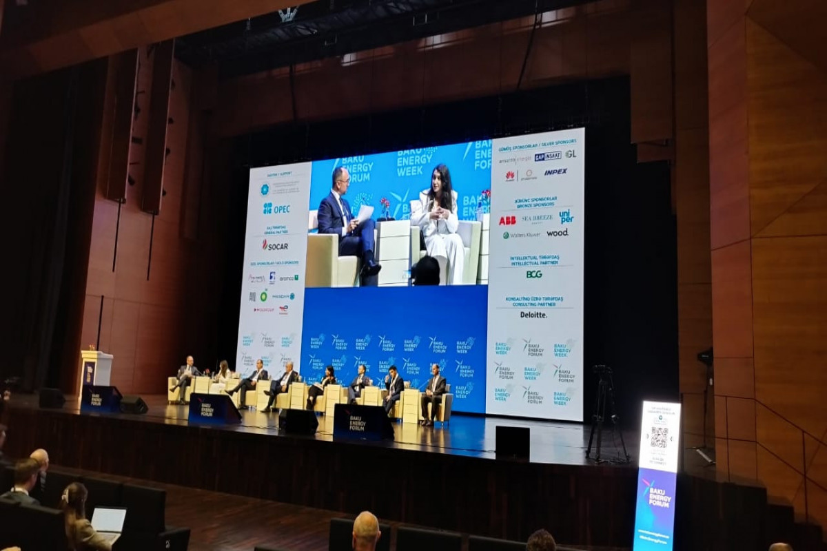 SOCAR: Avropada təbii qaz ən azı 2050-ci ilədək istehlak olunacaq