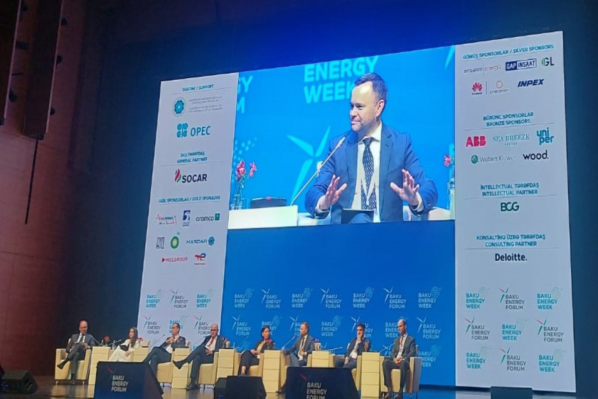 Çexiya Sənaye və Ticarət Nazirliyinin Enerji Strategiyası və Beynəlxalq Əməkdaşlıq üzrə Direktoru Petr Binhack