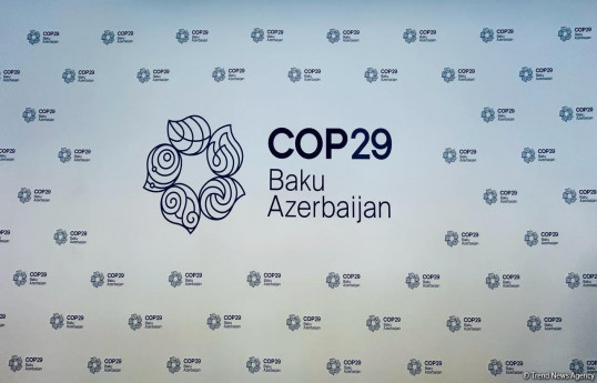 ADNOC: Azərbaycan COP29-a mükəmməl şəkildə ev sahibliyi edəcək
