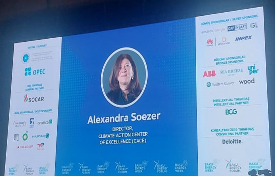 İqlim Dəyişikləri üzrə Mərkəzin direktoru: COP29-da özəl sektorun iştirakı vacibdir