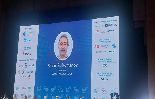 Samir Süleymanov: Bakı COP29 tədbirindən yüksək nəticələr qazanacaq