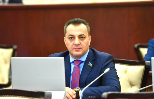Vüqar İskəndərov, Milli Məclisin deputatı