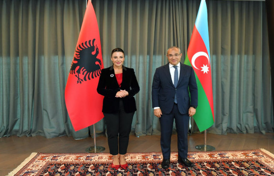 Azərbaycanla Albaniya arasında enerji tərəfdaşlığı məsələləri müzakirə edilib