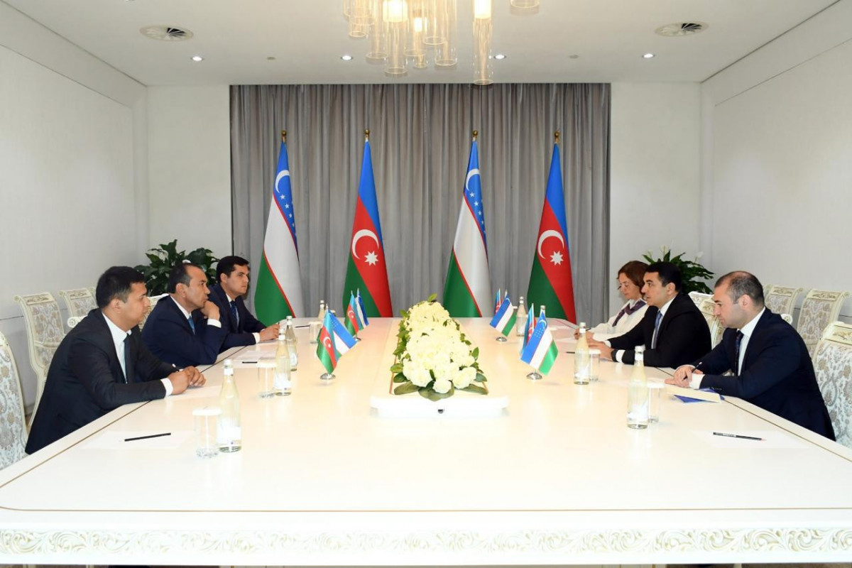 Azərbaycan və Özbəkistanın mədəniyyət nazirləri Daşkənddə görüşüb