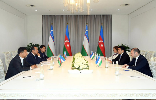 Azərbaycan və Özbəkistanın mədəniyyət nazirləri Daşkənddə görüşüb