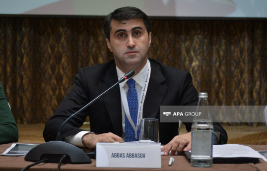 Bakı Təşəbbüs Qrupunun icraçı direktoru Abbas Abbasov