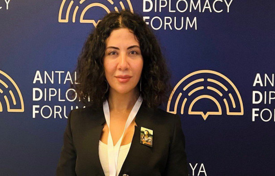 Türkiyəli şərhçi: Şuşa Bəyannaməsi Türkiyənin Azərbaycanın ərazi bütövlüyü və müstəqilliyini qorumaq əzminin göstəricisidir