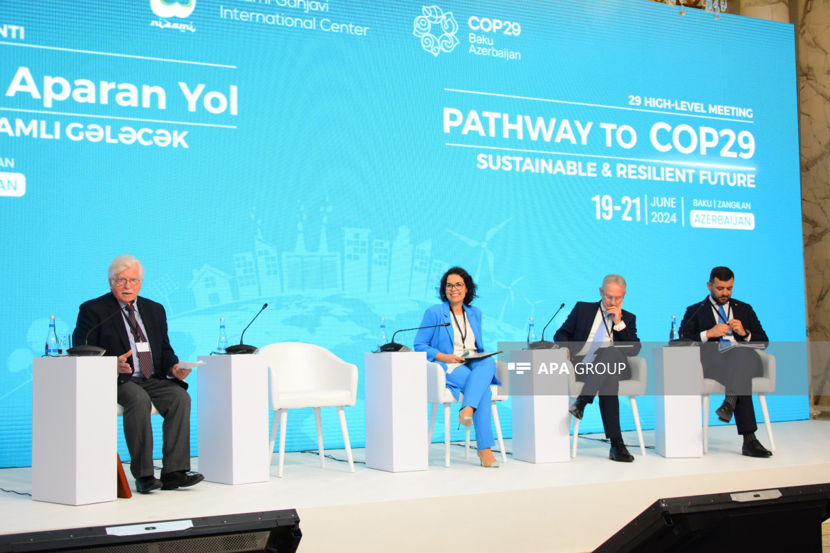 Bakıda COP29-la bağlı toplantı çərçivəsində iqlim dəyişikliyi barədə panel müzakirəsi keçirilib