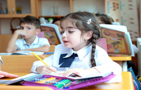 Bakıda I sinfə qəbulla bağlı 31 mindən çox sorğu yerləşdirilib