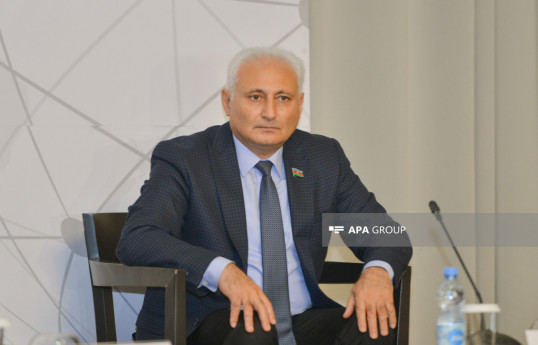 Hikmət Babaoğlu, Milli Məclisin deputatı