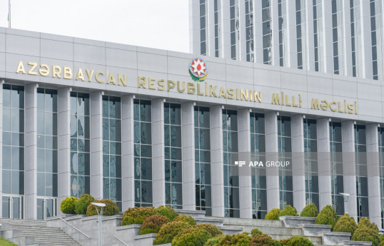 Yeni legitim qanunverici orqan xalqımızın yüksək gözləntilərini doğruldacaq  - RƏY 