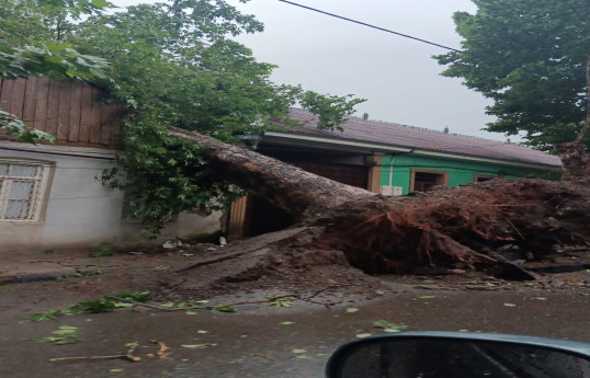 Güclü küləyin elektrik enerjisi təsərrüfatına vurduğu ziyan aradan qaldırılır - VİDEO 