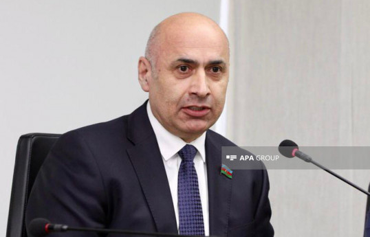 Azər Badamov, Milli Məclisin deputatı