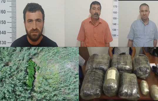 Yevlaxda narkotik tərkibli bitki becərən və narkokuryerliyə cəlb olunan şəxslər saxlanılıb