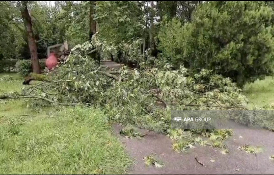 Qəbələdə leysan yağışları güclü fəsadlar törədib, yollar bağlanıb  - FOTO  - YENİLƏNİB 