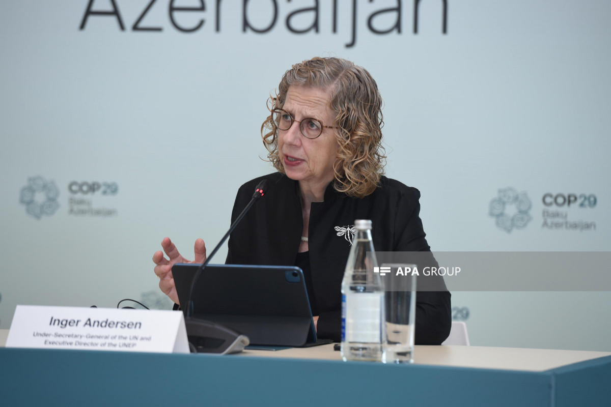 Under-Secretary-General of the United Nations, and Executive Director of the United Nations Environment Programme Inger Andersen