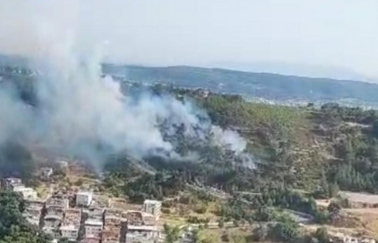 İzmirdə meşə yanğını başlayıb