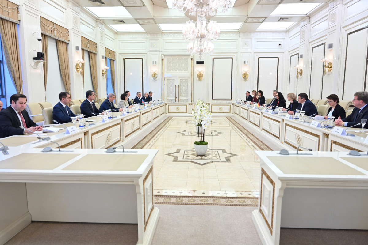 Milli Məclisin sədri Almaniya Bundestaqının nümayəndə heyəti ilə görüşüb