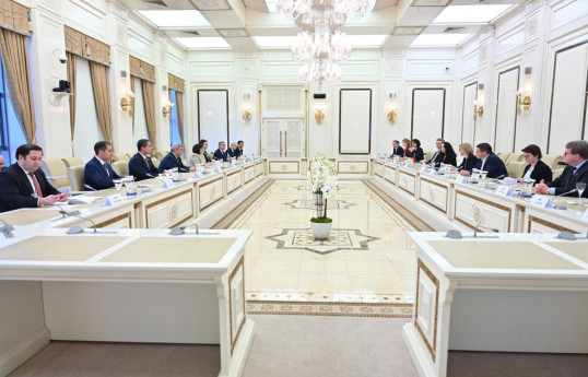 Milli Məclisin sədri Almaniya Bundestaqının nümayəndə heyəti ilə görüşüb