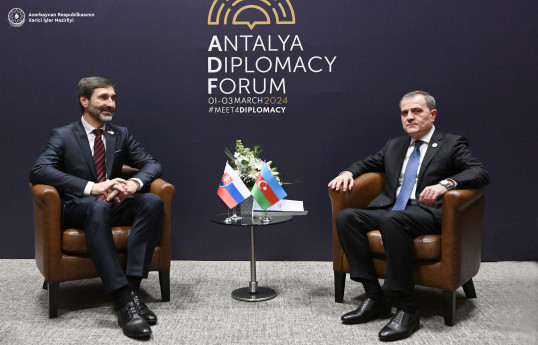 Ceyhun Bayramov Slovakiyanın xarici işlər naziri ilə görüşüb