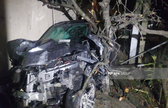 Göygöldə toydan çıxan avtomobil qəzaya düşüb, ölən və yaralananlar var - FOTO 