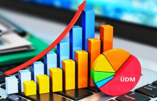 NMR-da ümumi daxili məhsul istehsalı 99 mln. manatdan çox olub
