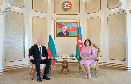 Milli Məclis və Bolqarıstan Xalq Məclisinin sədrləri görüşüb