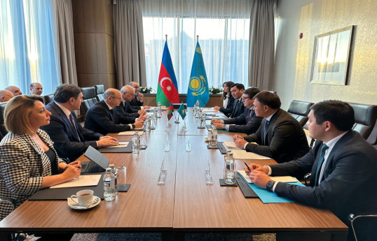 Mərkəzi Asiyadan “yaşıl enerji”nin Azərbaycan vasitəsilə ixrac edilməsi müzakirə edilib