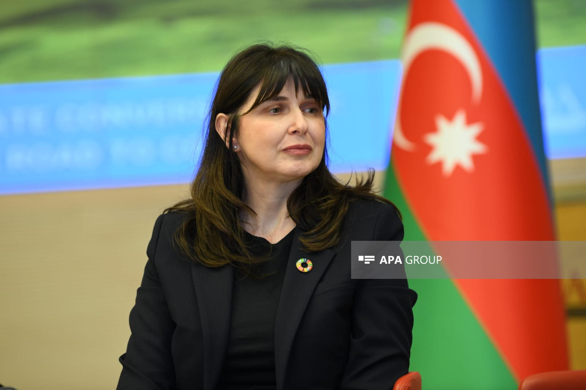 BMT nümayəndəsi: COP29 mükəmməl bir platforma olacaq