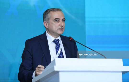 Fərid Şəfiyev: Natəvanın Fransadakı abidəsinin üzərinə boya atmaqla yanaşı, bir sıra hissələri dağıdılıb