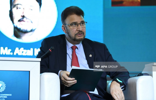 Britaniya Müsəlmanları Parlament Qrupunun sədr müavini: Azərbaycanın təşəbbüslərinə dəstək vermək lazımdır