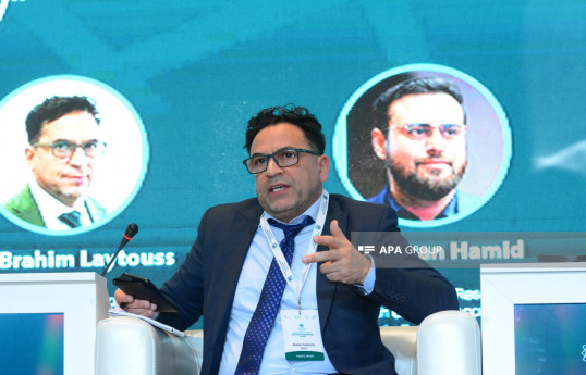 Avropa İnkişaf və Araşdırma Akademiyası direktoru: İslamofobiya ilə mübarizə hərtərəfli həll yolları tələb edir