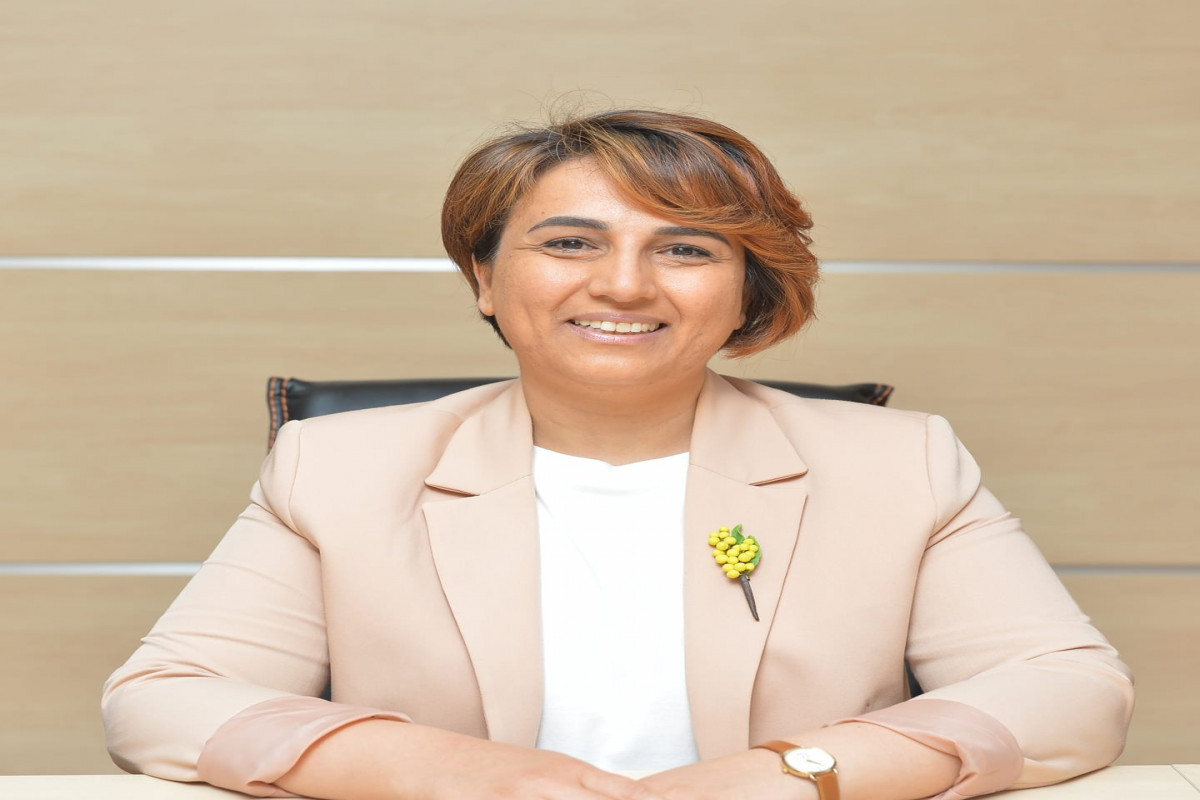 Agentlik sədri: Hədəfimiz rəqəmsal mühitdə Azərbaycanı regionun liderinə çevirməkdir