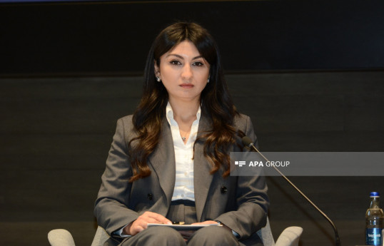 DVX-nin rəis müavini: Vergidən yayınmanın ağır cəzası olmalıdır