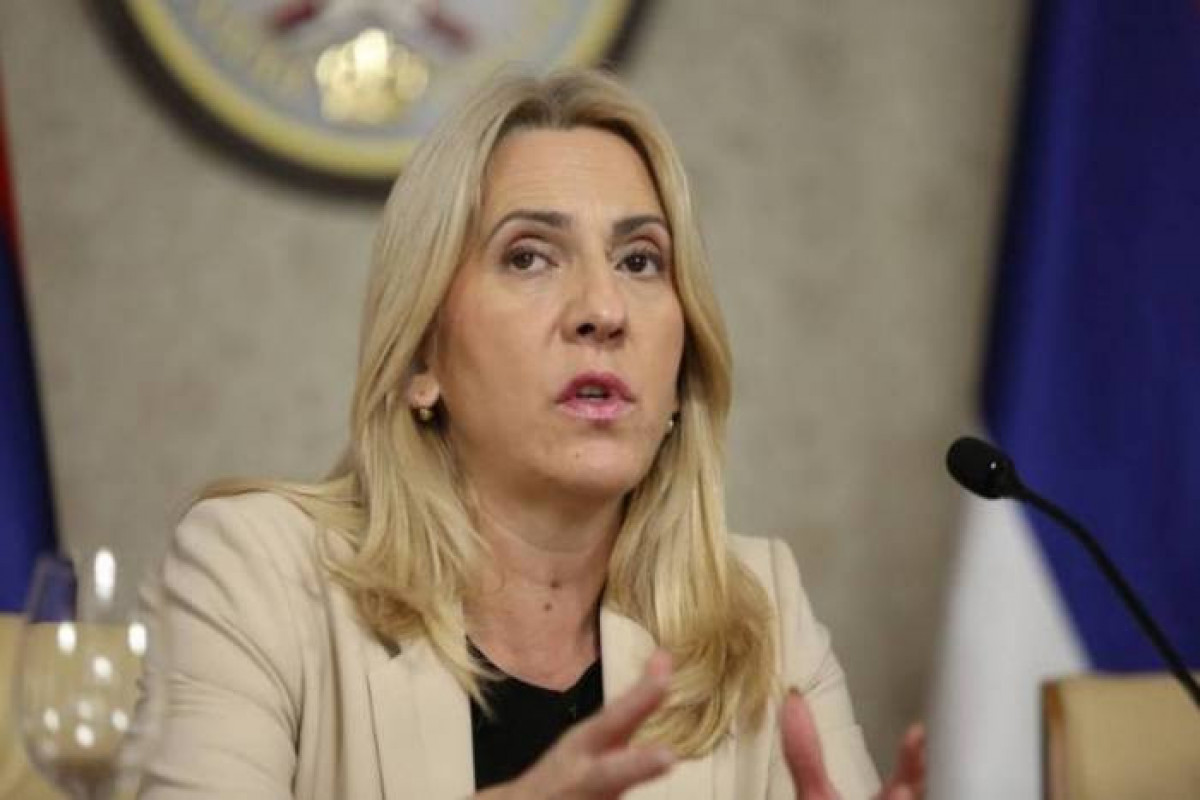 Zelka Çviyanoviç: Problemlərin kökündə beynəlxalq institutların düzgün idarə edilməməsi dayanır
