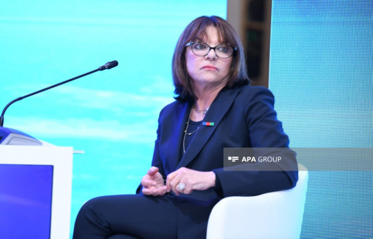 Fransalı senator: Ölkəmdə Azərbaycana qarşı toksik lobbiçilik var
