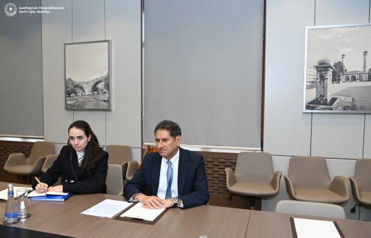 IRENA-nın baş direktoru: "Azərbaycanla əməkdaşlıq etməkdən məmnunuq"