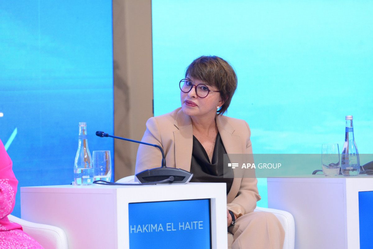 Mərakeş Krallığının Xüsusi Elçisi: Biz istəyirik ki, COP29-da yaşıl enerjiyə ədalətli keçid təşviq edilsin