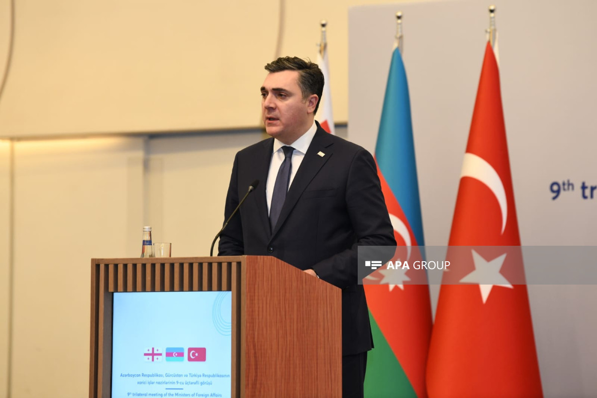 Darçiaşvili: Üçtərəfli format bizə regionun ehtiyaclarından xəbərdar olmağa şərait yaradır