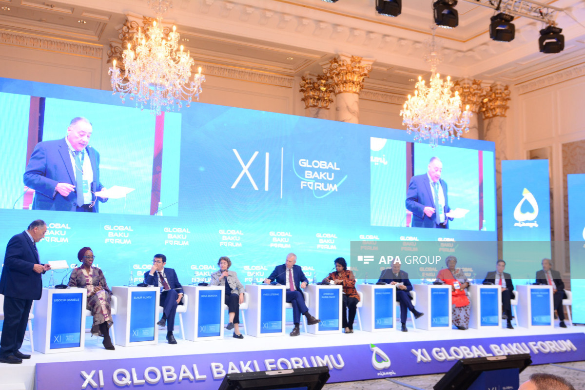 BMqT-nin baş direktorunun müavini: COP29-un inklüziv olmasını istəyirik