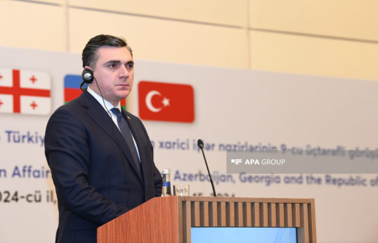XİN başçısı: Gürcüstan Yaxın Şərqdə sülhün zəruriliyini dəstəkləyir